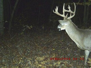 Property photo 27 - 1974 Acres in 23 Tracts Located in Christian, Hopkins & Edmonson County, Kentucky